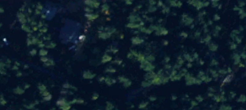 Forested Recreational Land