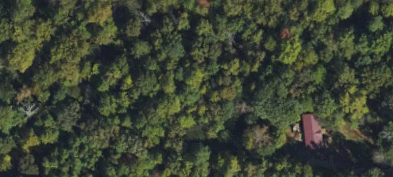 Creekfront Wooded Land with Homesite