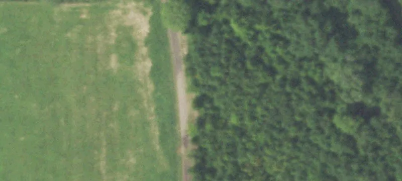 Agricultural Estate with Multiple Homes