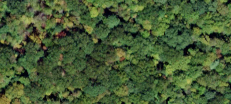 Country Hunting Land with Utilities