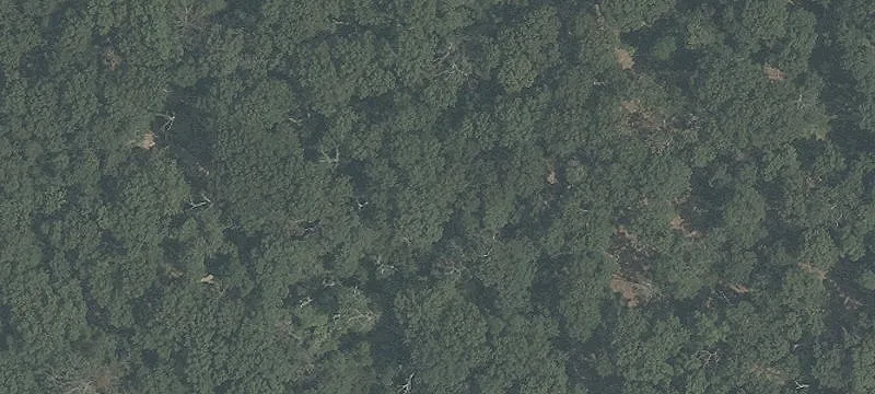 Commercial Land Parcel