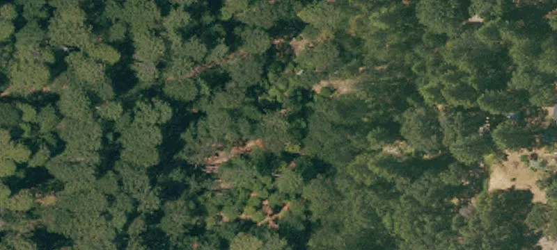 Forested 5-Acre Residential Lot