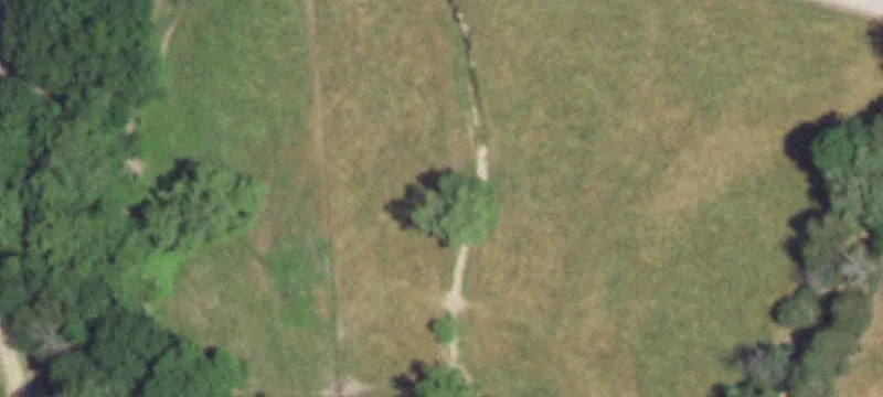 Working Farm with Ponds