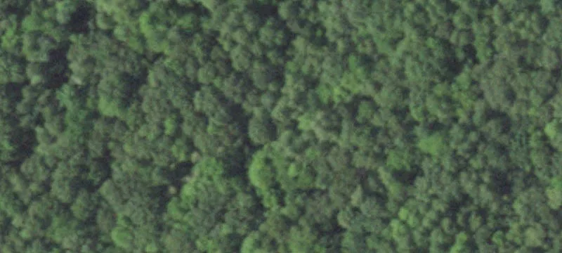 Wooded Recreation Land Parcel