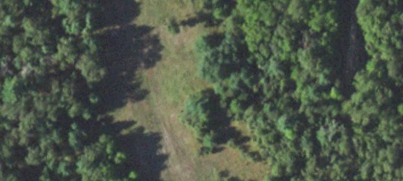 Wooded Hunting Land Site