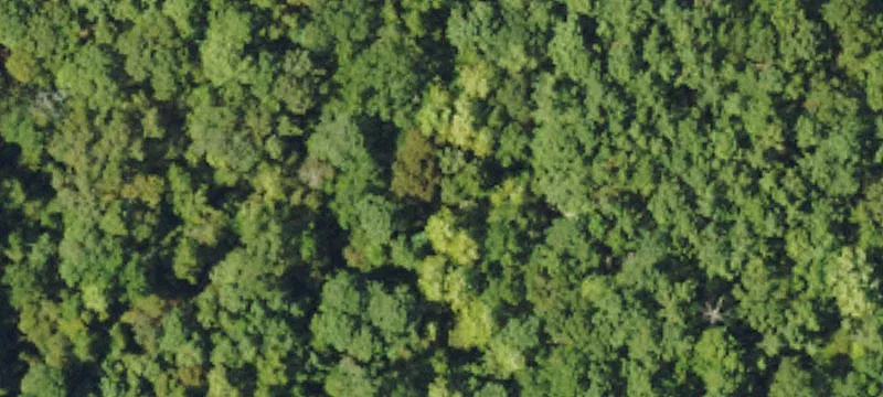 Recreational Land with Road Access