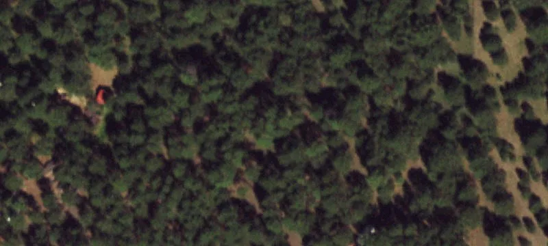 Treed Horse Property Parcel