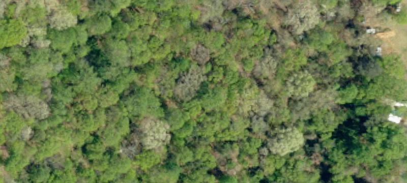 Commercial Land Near Lake Blalock