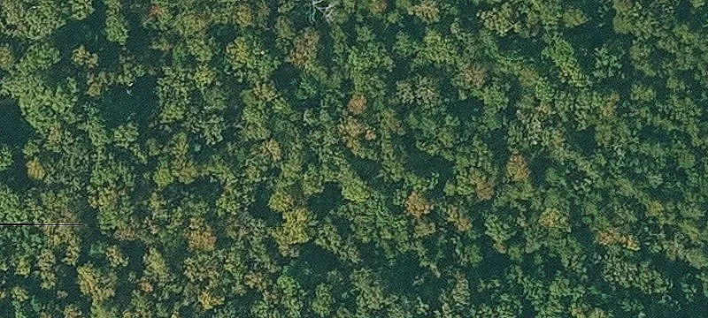 Turnkey Hunting and Recreational Land