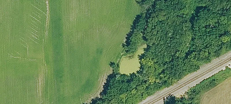 Agricultural Land with Grazing Setup