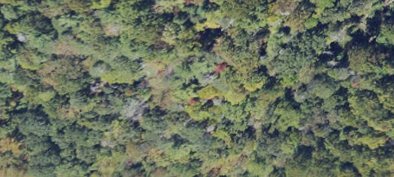 Buildable Mountain Home Lot