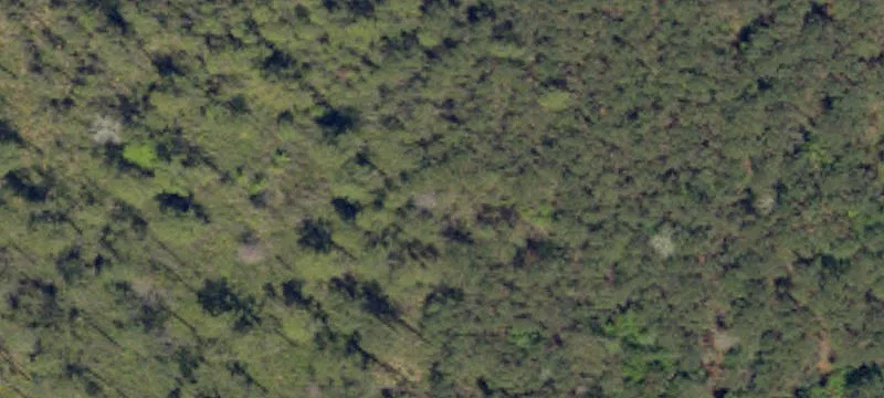 Deepwater Waterfront Land Lot