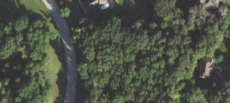 Wooded Residential Home Lot