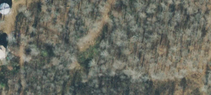 Private Wooded Home Site Land