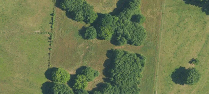 Cleared Residential Home Site