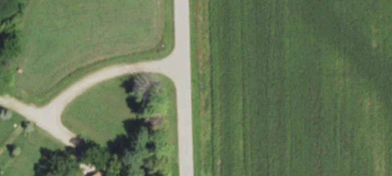 Flat Lot with Few Trees