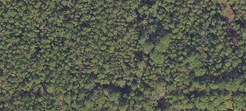Wooded Residential Lot