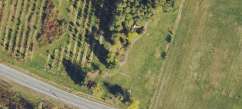Orchard Development Land