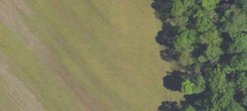 Agricultural Land for Sale