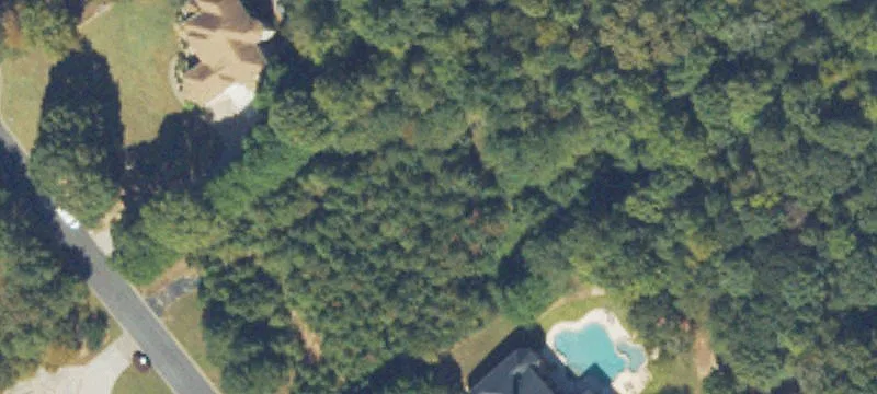 Wooded Basement Home Lot