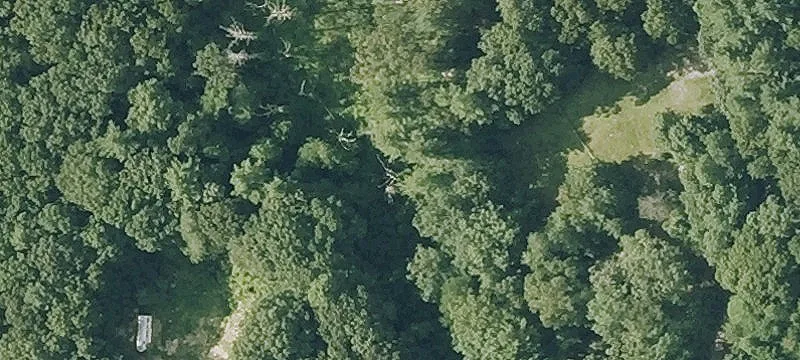 Buildable Wooded Home Lot