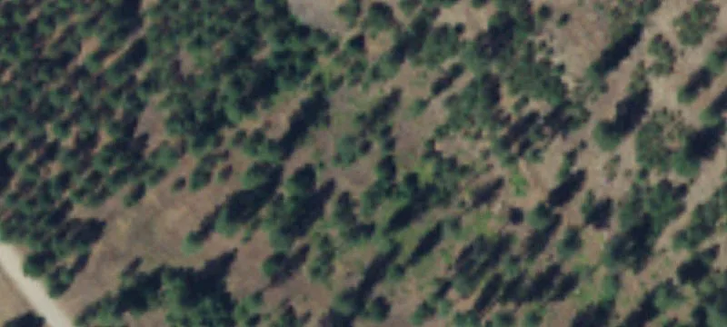 Recreation Land with Dry Cabin