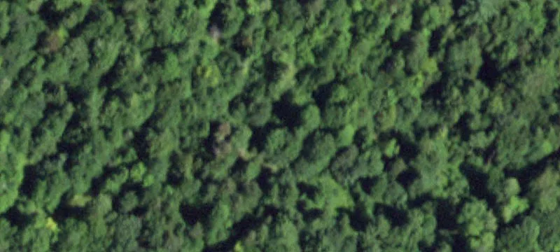 Wooded Recreation Land with Cabin