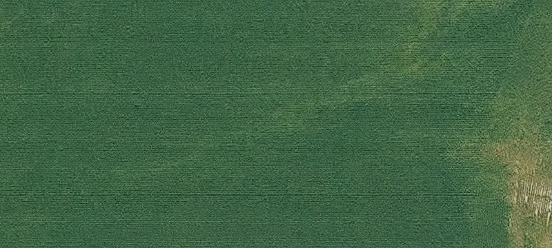 Agricultural Build Site with Barn