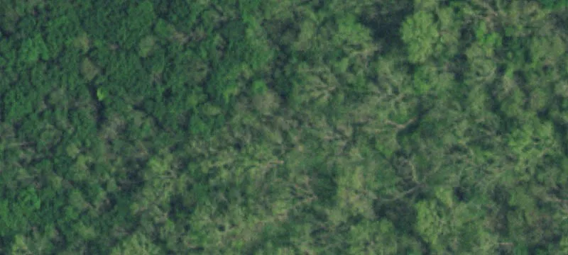 Waterfront Hunting and Recreation Land