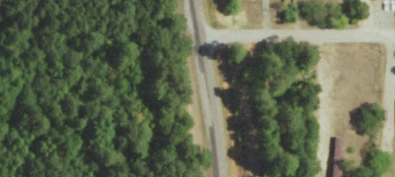 Wooded Hunting Tract with Dual Frontage