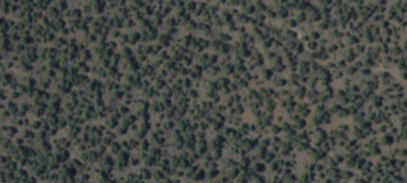 Rural Homesite with Mountain Views