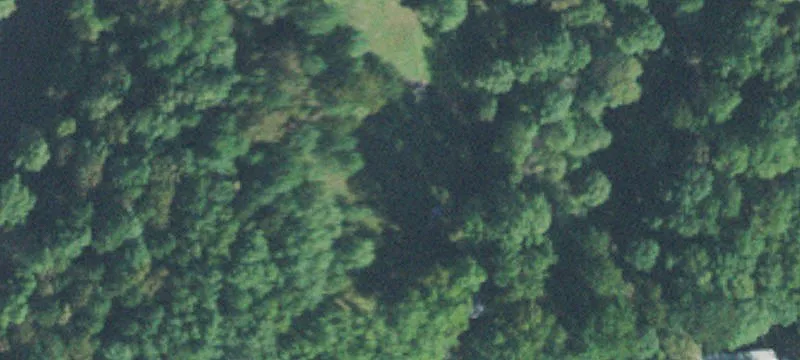 Wooded Lake-Adjacent Land