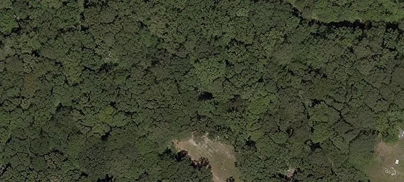 Wooded Residential Lot