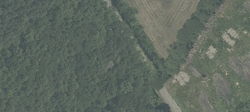 Wooded Hunting Land Parcel