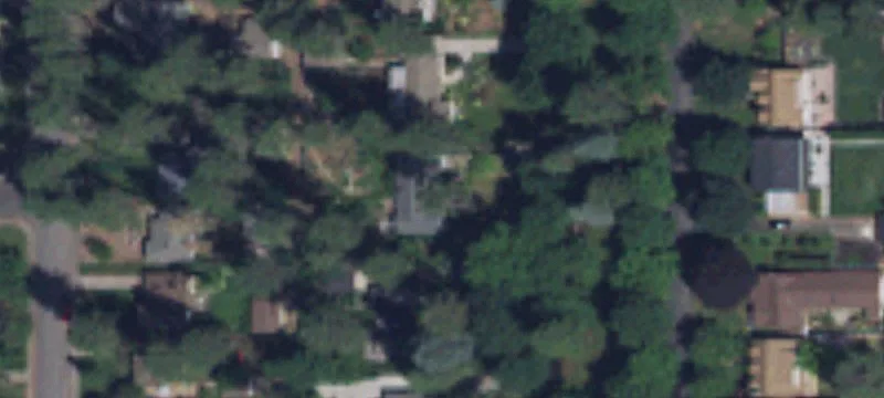 Level Buildable Lot with Alley Access