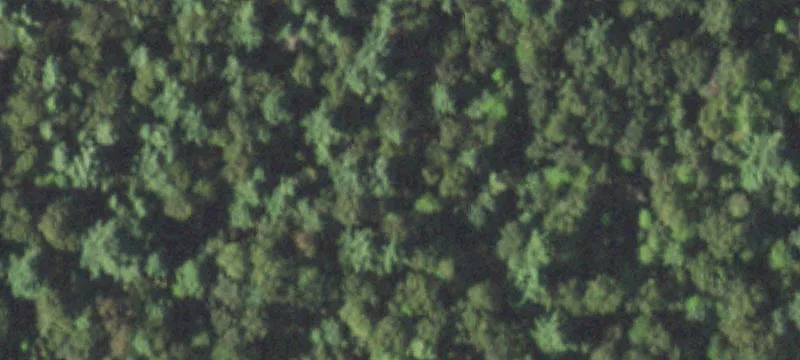 Oversized Lot in Springbrook Resort
