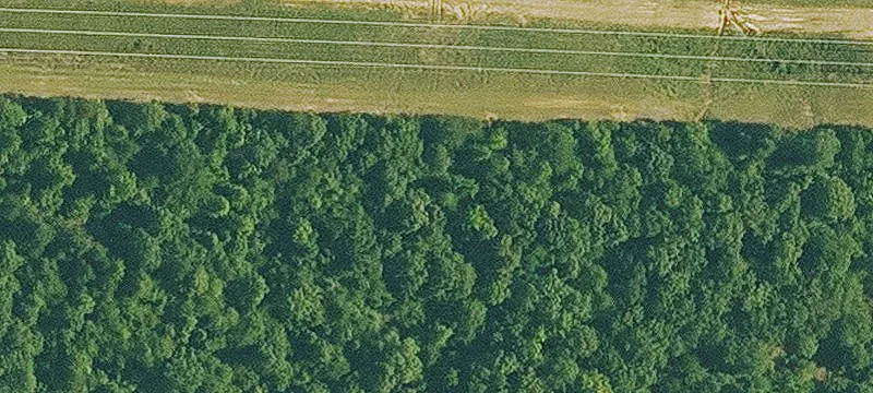 Gated Ranch Residential Lot
