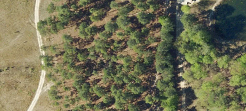 Gated Farmland Tract with Pond