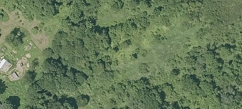 Wooded Buildable Home Lot