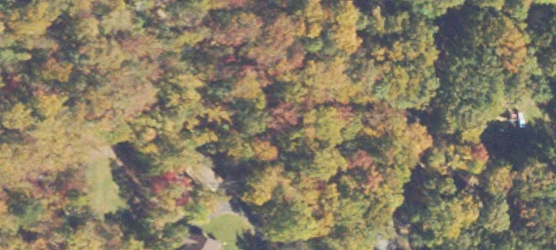 Wooded Residential Building Lot