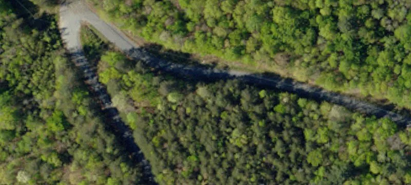 Highly Visible Wooded Development Land