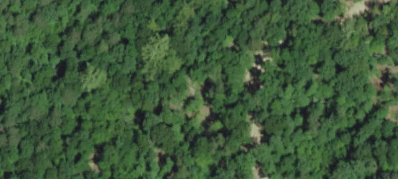Secluded Hunting and Recreational Land