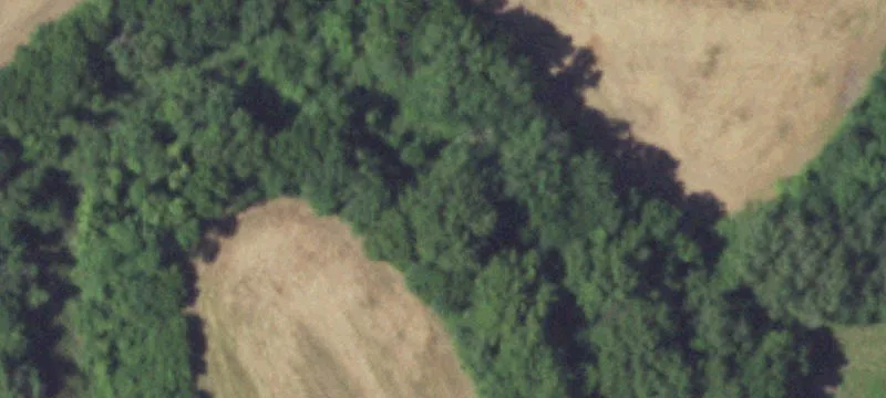 Acreage Tract on Paved Road