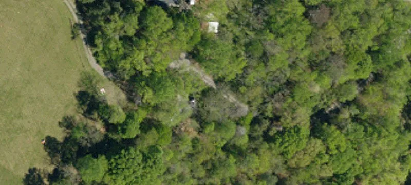 Wooded Land Development Parcel