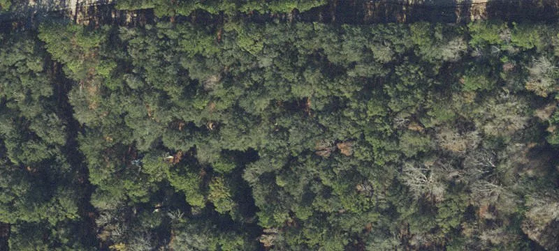 Wooded Agricultural Parcel