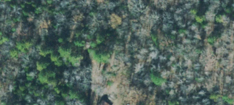 Unrestricted Wooded Land Tract