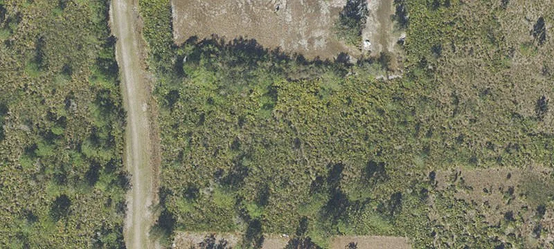 Wooded Residential Land Parcel