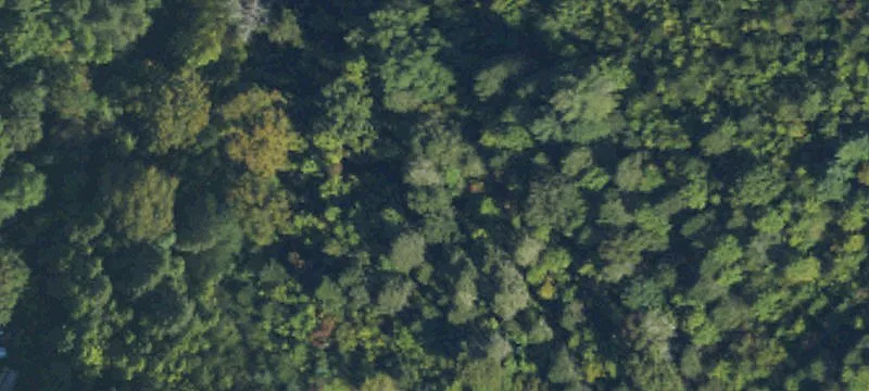 Wooded Waterfront Land Parcel