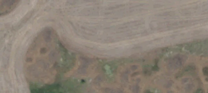 Rural Home Site with Cultivated Acreage
