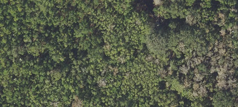 Waterfront Lakefront Land Parcel